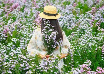Cape Town botanical tours