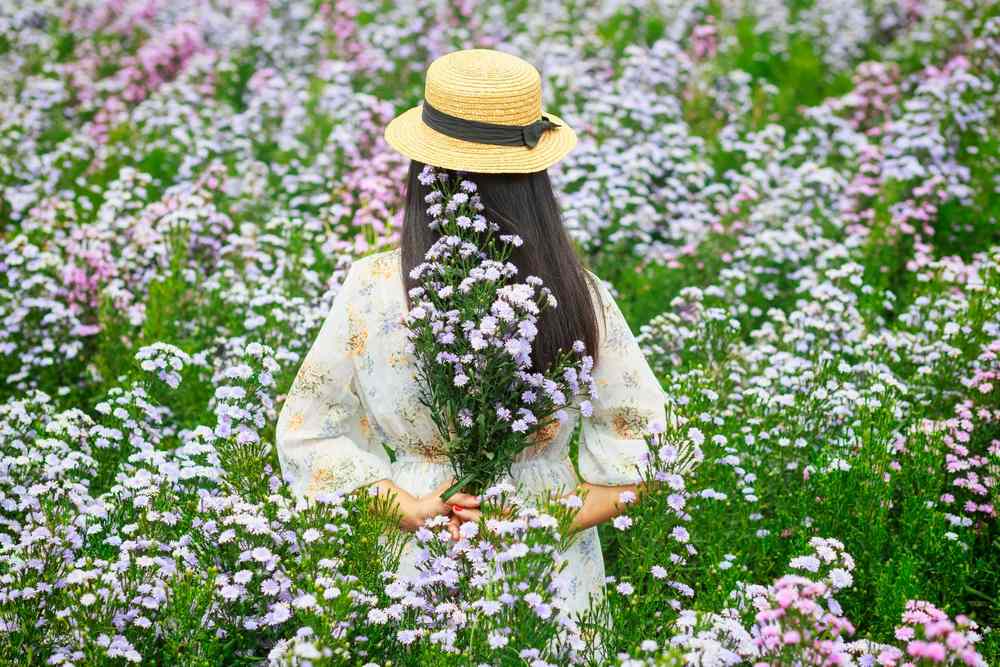 The Ultimate Guide to Botanical Tours in Cape Town (2025)