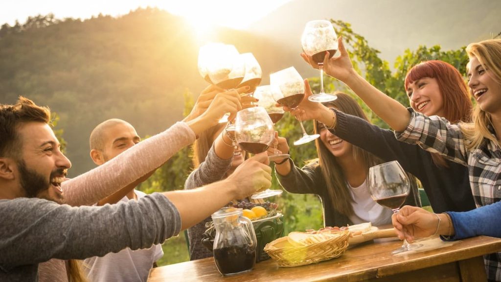 Top Wine Festivals in Cape Town for Wine Lovers (2026)