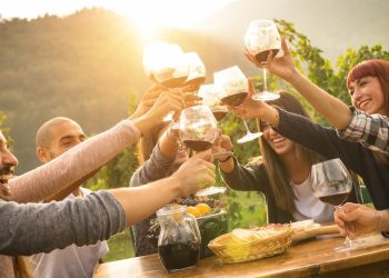Cape Town wine festival