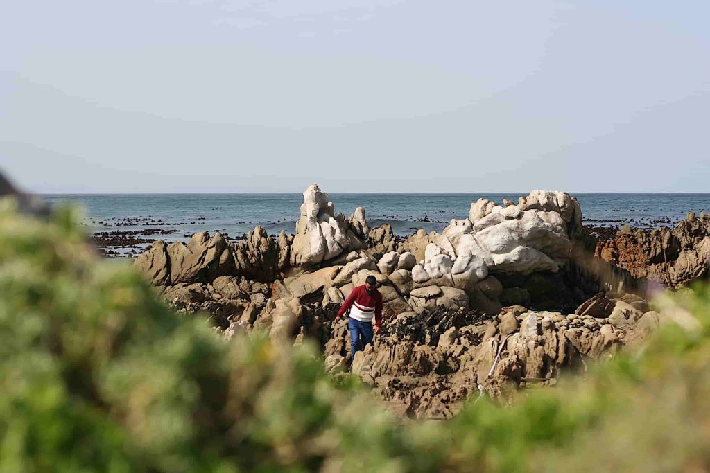 Discover Betty’s Bay: A Coastal Gem near Cape Town