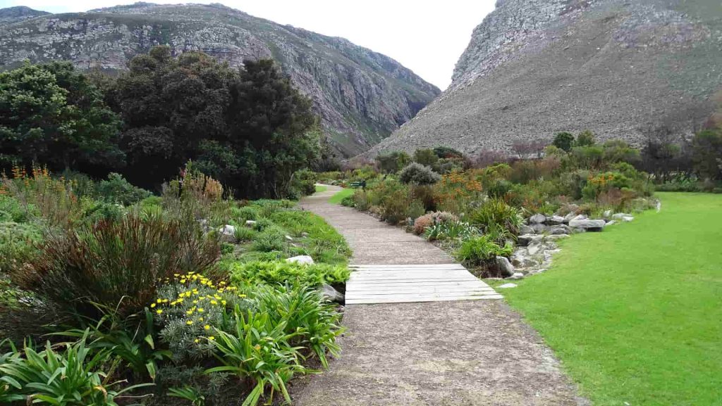 Betty's Bay