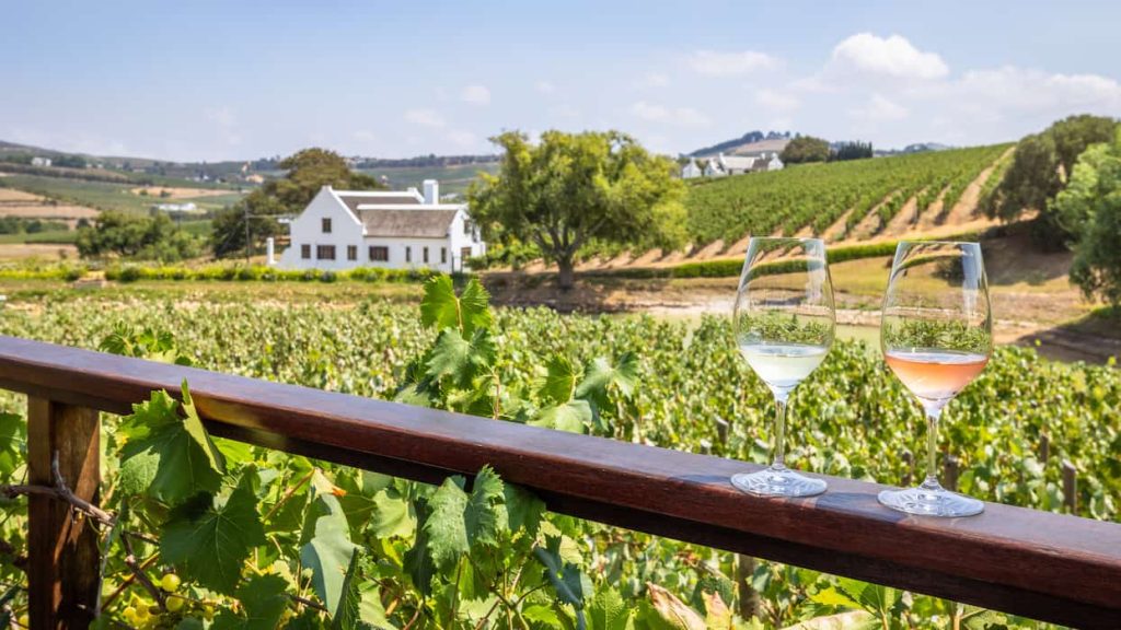 Cape Town vineyard in autumn