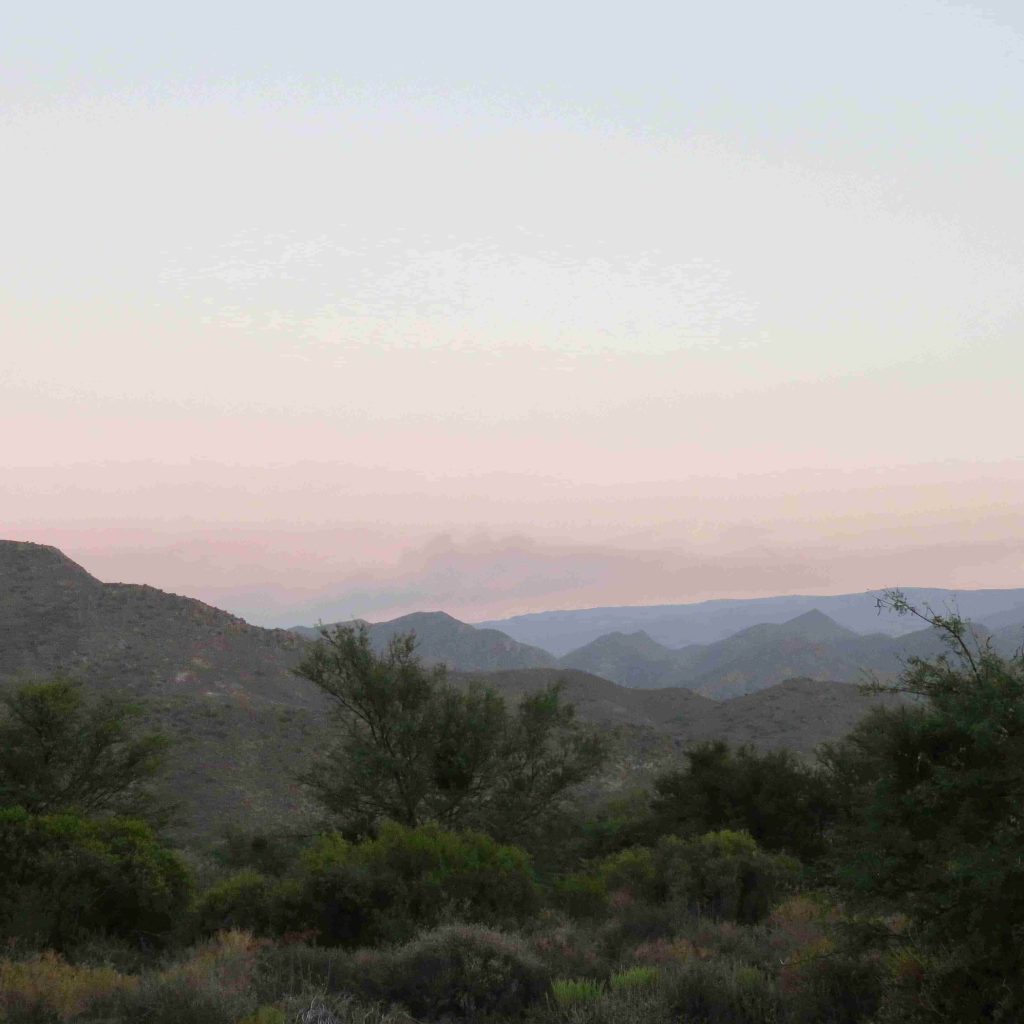 Montagu
