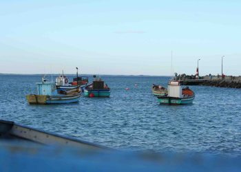 struisbaai