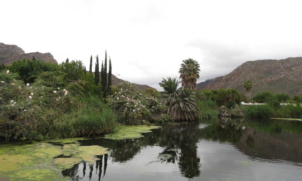 Montagu