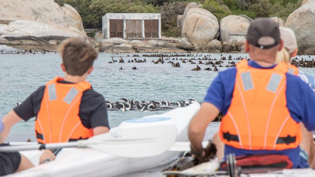 Kayaking in Cape Town with kids