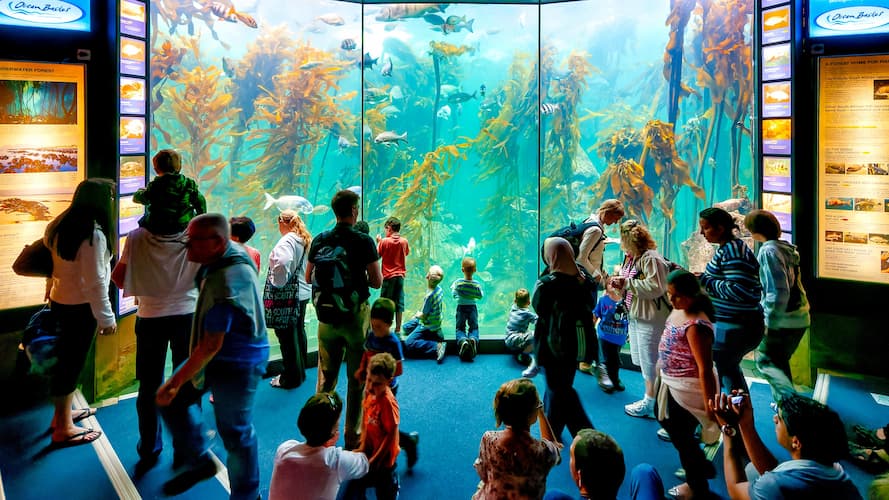 Kids at Two Oceans Aquarium, Cape Town