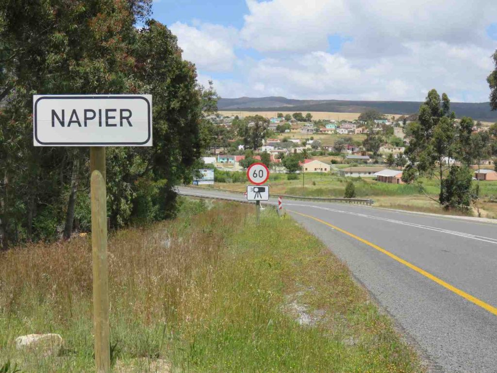 From Wheat Fields to Quirky Art: A Journey Through Napier