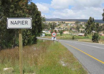 Napier