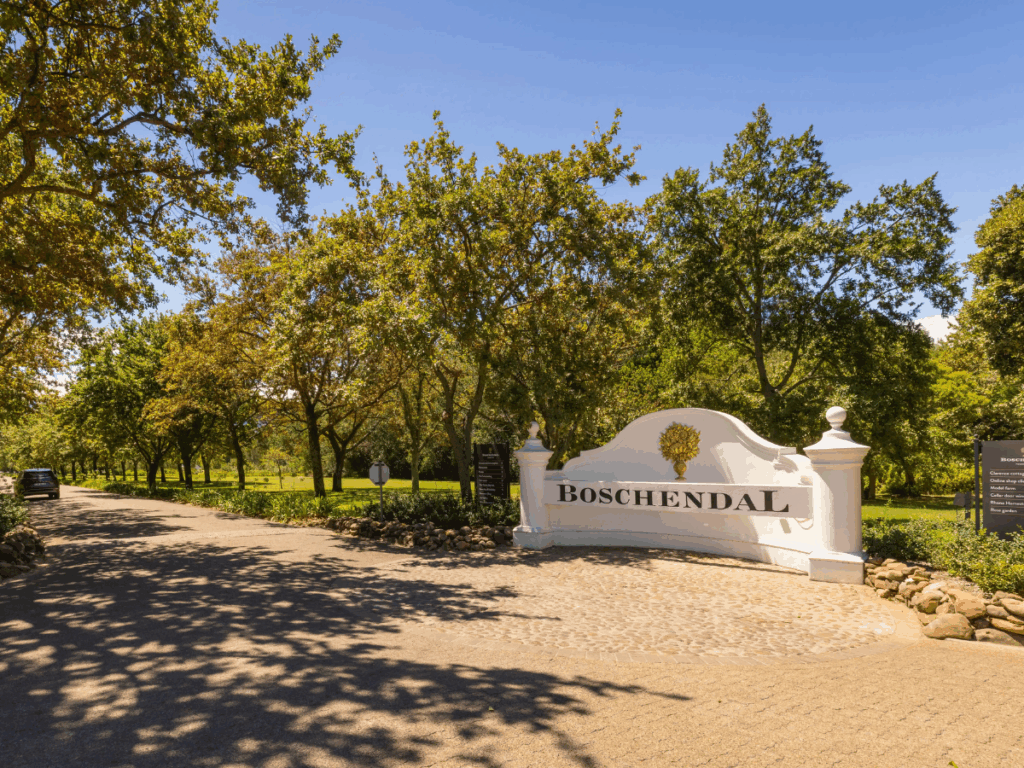 Cape Town Vineyards