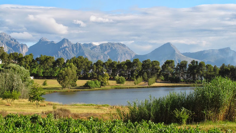 Diemersfontein