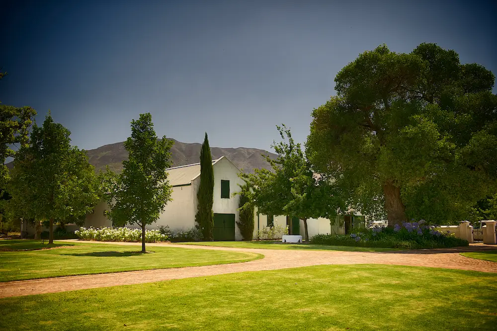 Bosman Family Vineyards - Cellar