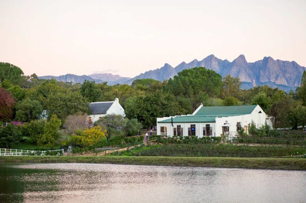 Langkloof Roses - Wellington South Africa