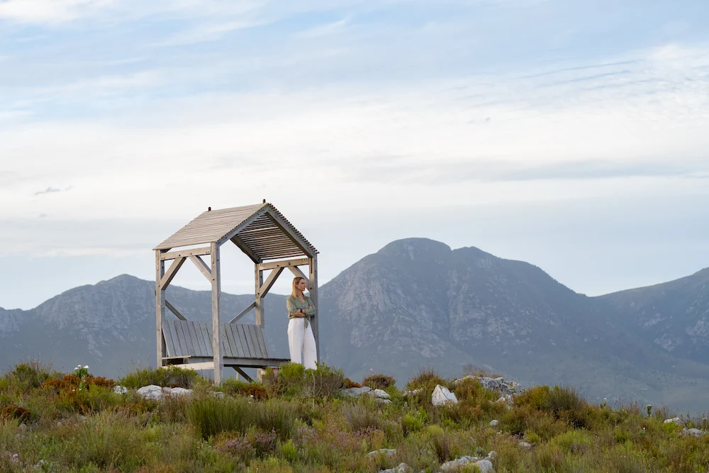 BOSMAN WINES – ONE FAMILY, TWO VINEYARDS, MANY STORIES