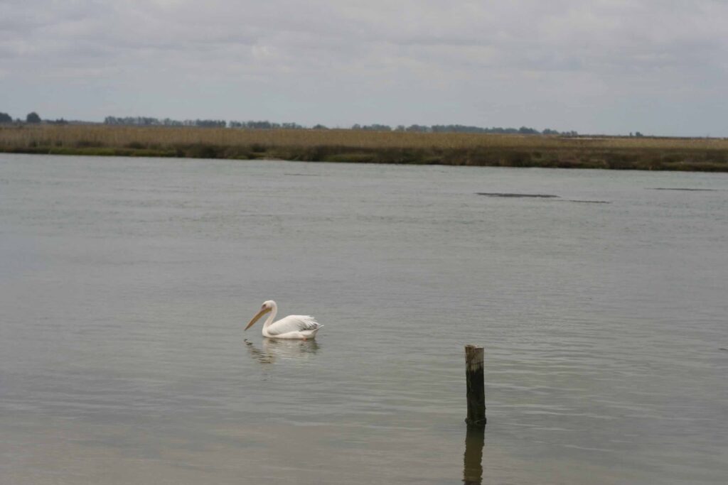 Berg River Estuary