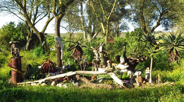 Bokmakierie Nursery