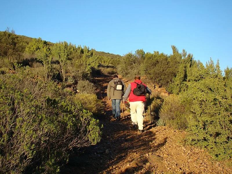 Guided Tour with Alistair Reizenberg