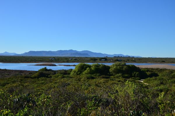 Rocherpan Nature Reserve