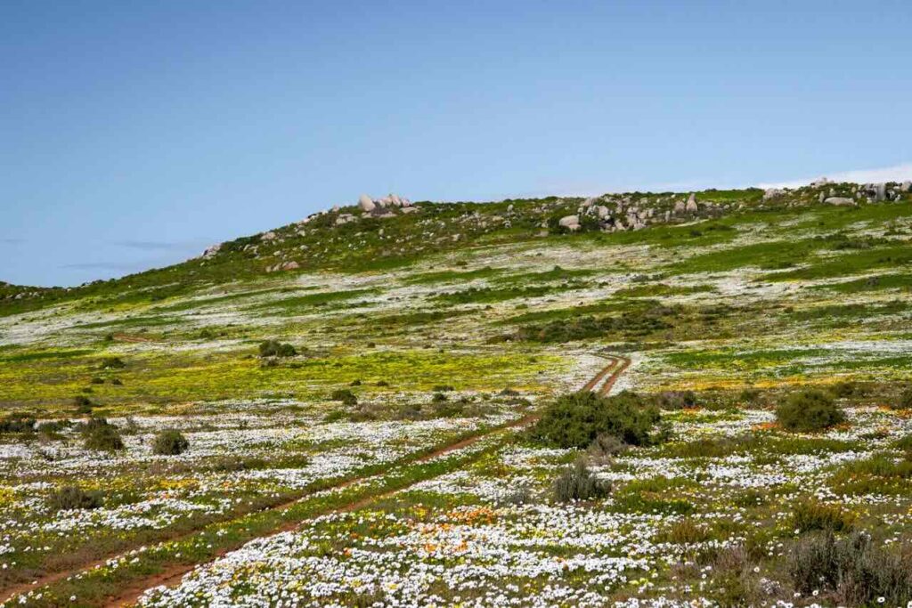 West Coast National Park