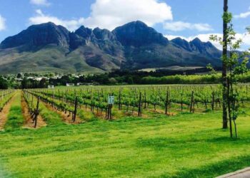 Things to Do in Somerset West: Must-Do Activities for Every Traveller