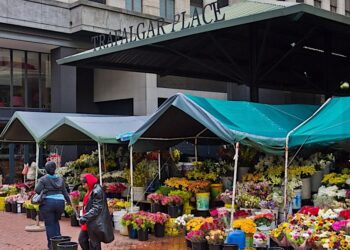 Adderley Street Flower Market