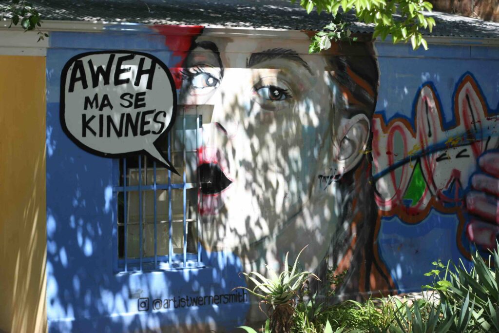 David Kuijers Art Studio