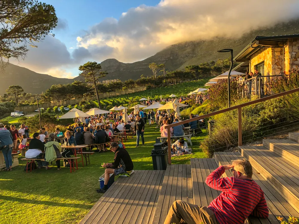 First Friday at Cape Point Vineyards