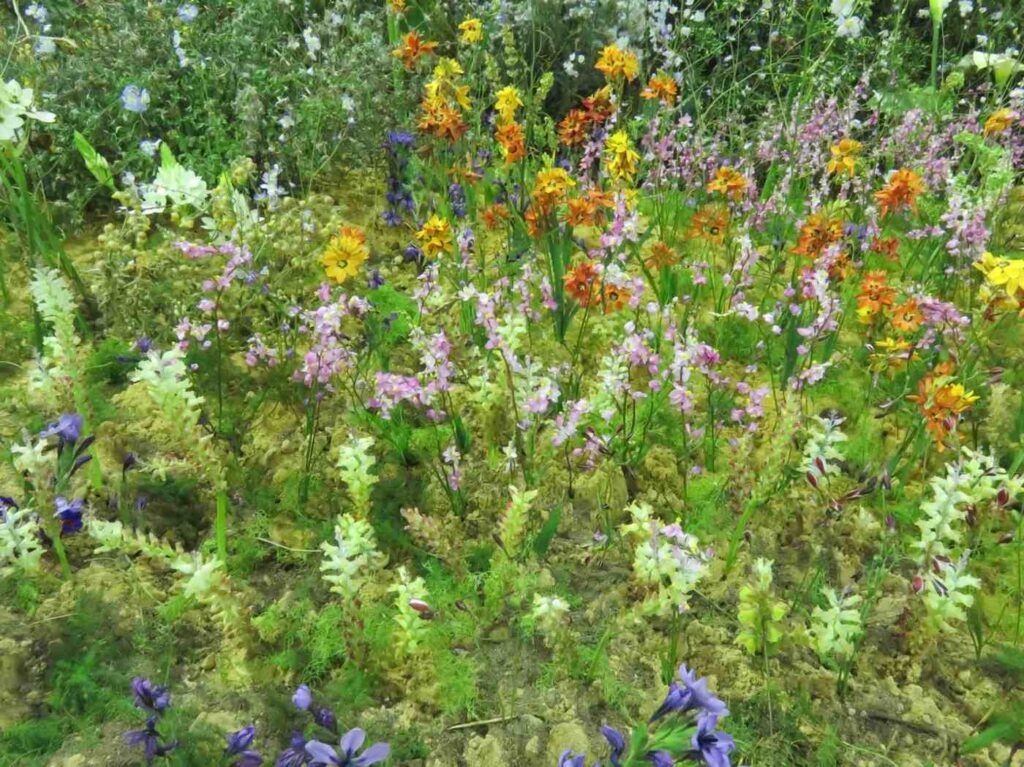flower season