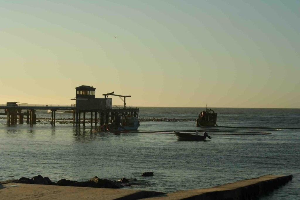 Fun Facts About Doringbaai