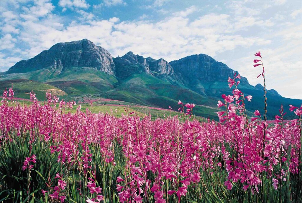 Helderberg Nature Reserve