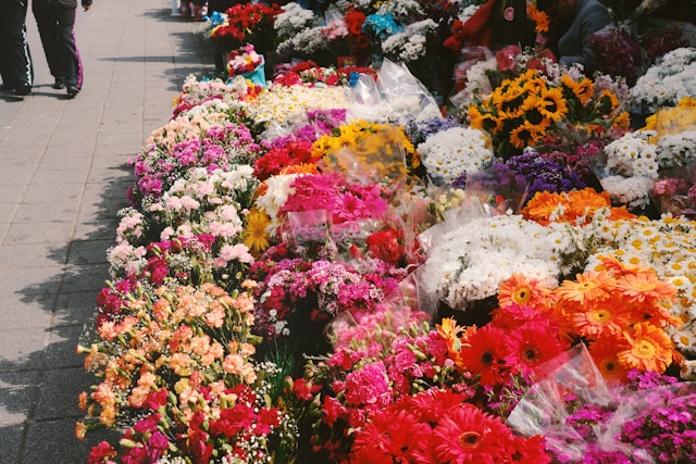 Kaleidoscope of Colours Adderley Street Flower Market