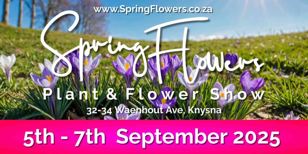 Spring Flowers 2025