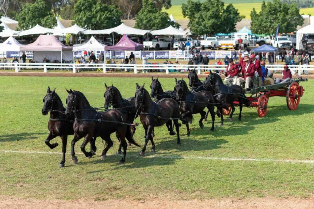 Swartland Show Grounds Moorreesburg