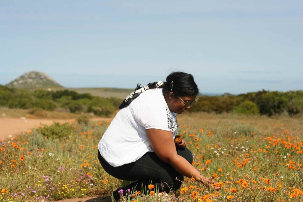Your Ultimate Guide to Wildflower Season in Cape Town