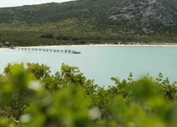 A Travel Guide to West Coast National Park, Day 6 – West Coast Escape