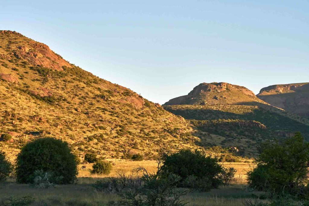 Activities Karoo National Park