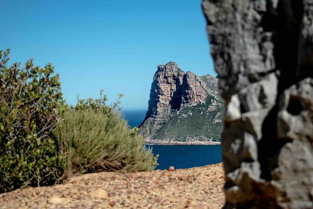 Chapman's Peak Environmental Concerns