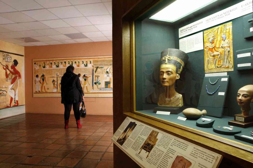 Collections and Conservation