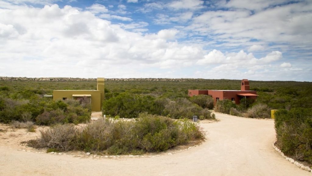 Duinepos Chalets
