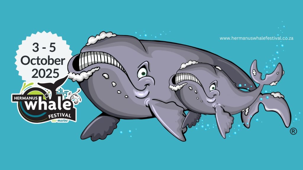 What’s on in Cape Town in Octobe 2025 - Hermanus Whale Festival