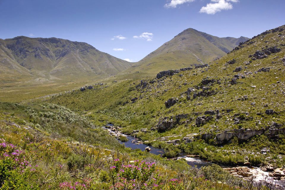 Kogelberg Nature Reserve