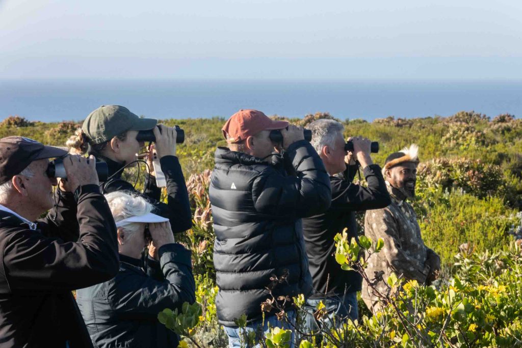 Plett Bitou Birding Festival