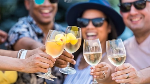 What’s on in Cape Town in Octobe 2025 - Robertson Wine on the River Festival