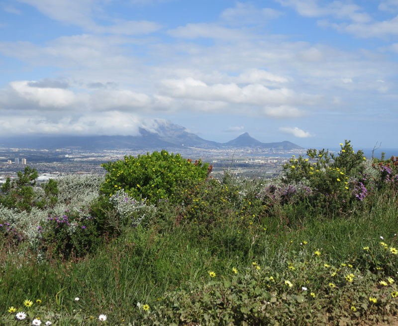 Tygerberg Nature Reserve