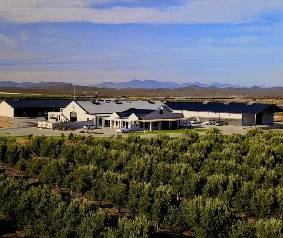 Willow Creek Olive Estate Worcester