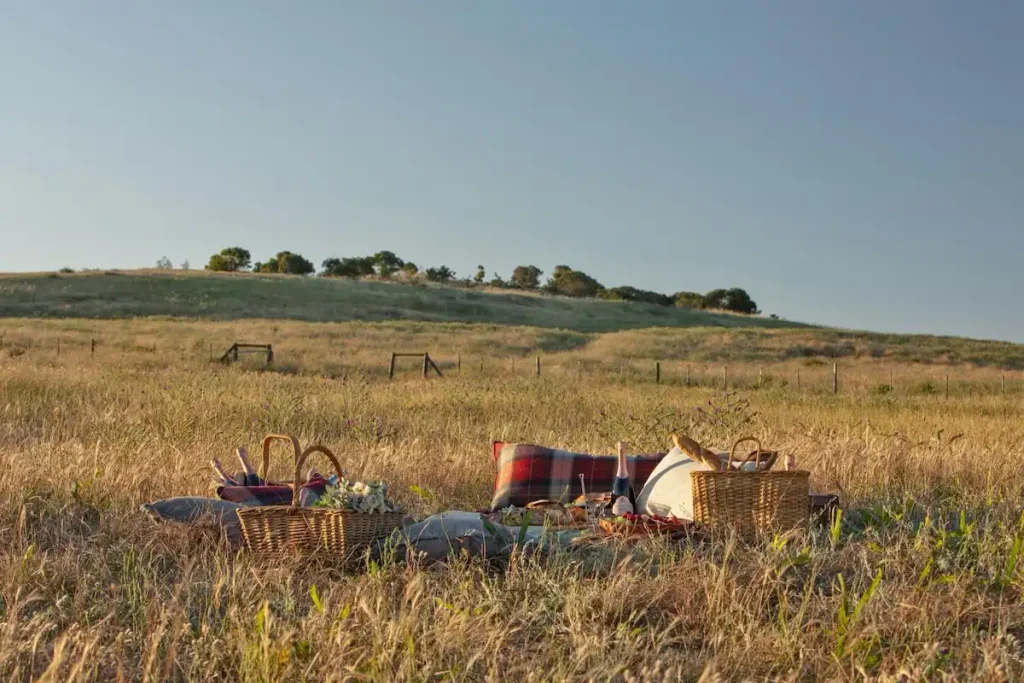 Best Cape Town Picnic Spots - De Grendel