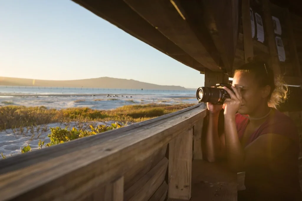 Bird Hide - Cape Town Spring Day Trips