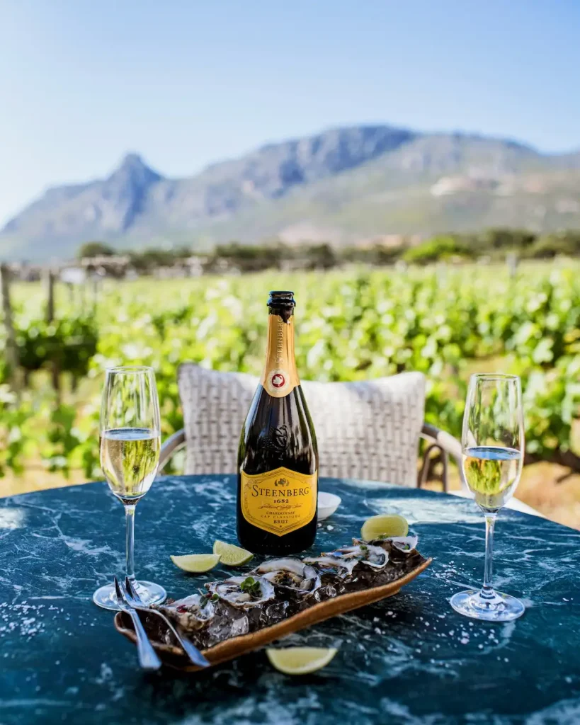 Bubbly Tasting - Top Cape Town Trails