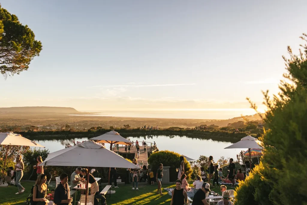 Cape Point Vineyard - Cape Town Picnic Spots